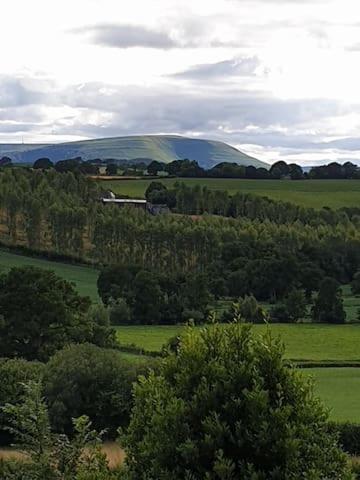 Willow Lodge Abergavenny Zewnętrze zdjęcie